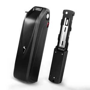 Hailong ਇਲੈਕਟ੍ਰਿਕ ਸਕੂਟਰ ebike ਬੈਟਰੀ 48V 15Ah