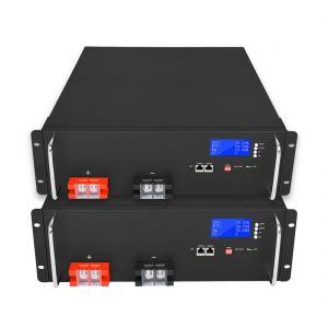 ਸੋਲਰ Energyਰਜਾ ਭੰਡਾਰਨ ਪ੍ਰਣਾਲੀਆਂ ਲਈ ਫੈਕਟਰੀ ਅਨੁਕੂਲਤਾ ਲਿਥੀਅਮ ਆਇਨ ਬੈਟਰੀ 48V 100Ah LiFePO4