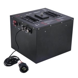 ਗੋਲਫ ਕਾਰਟ LiFePO4 ਬੈਟਰੀ 51.2V 105Ah